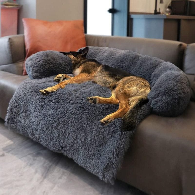 Dog resting on a grey fluffy bed with raised sides